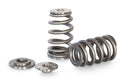 Kelford Cams Honda K Beehive Springs Titanium Retainers