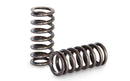 Kelford Cams Toyota 4AGE 20V Black & Silver Valve Springs